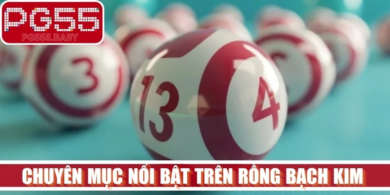 Các chuyên mục nổi bật trên Rồng Bạch Kim bạn nên biết