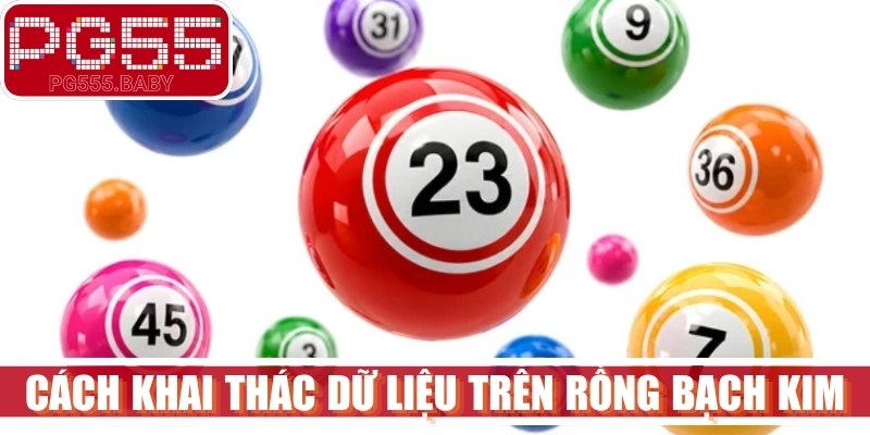 Cách khai thác dữ liệu trên Rồng Bạch Kim