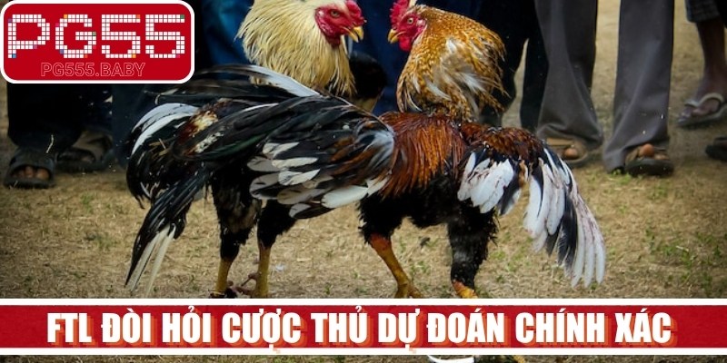 FTL đòi hỏi cược thủ dự đoán chính xác chiến kê nào sẽ bị knock-out