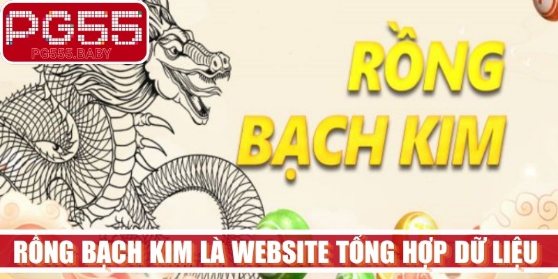 Rồng Bạch Kim là website tổng hợp dữ liệu xổ số hàng đầu hiện nay